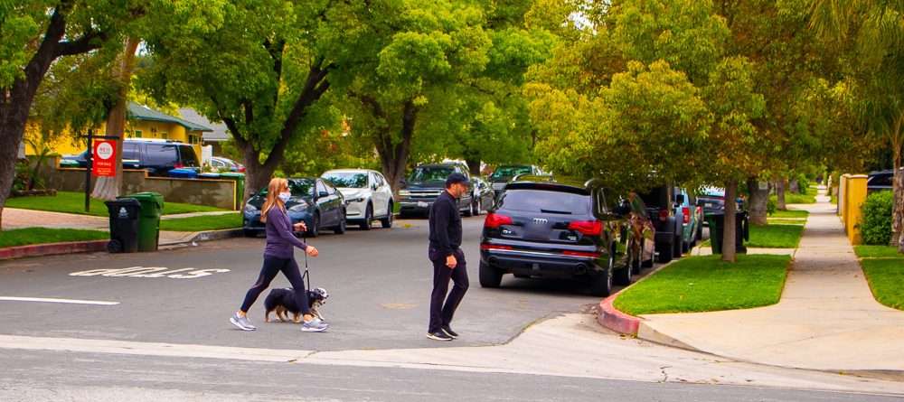 Westampton, NJ - Domonique Dudley Fatally Struck by Vehicle on Burlington-Mount Holly Rd near Burrs Rd