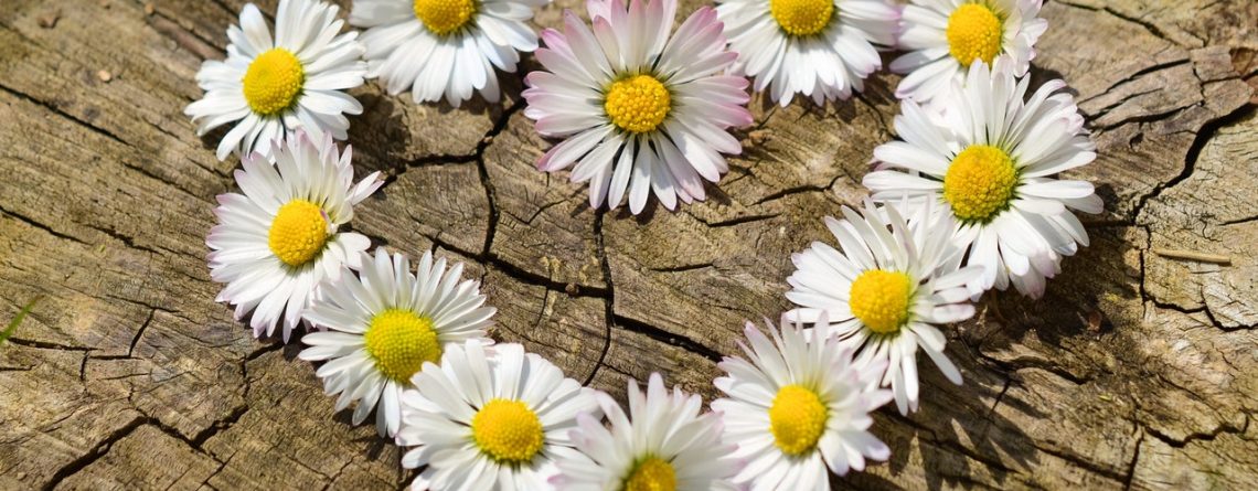 Lakewood, NJ - 15-Year-Old Fatally Struck on Rt 70 near Vermont Ave