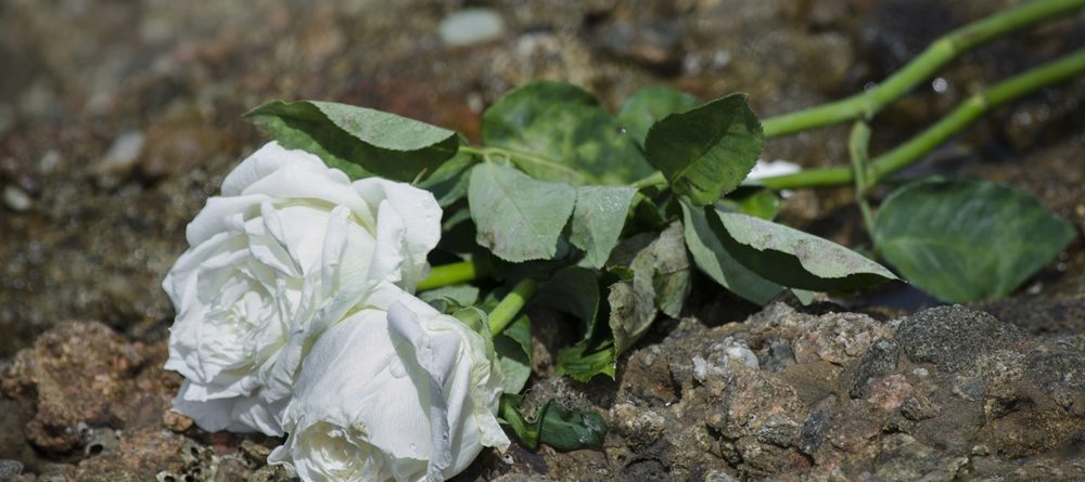 44-Year-Old Woman Killed in Ambulance Hit-and-Run at Ave O & Ocean Ave