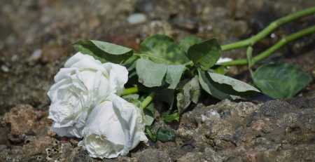 44-Year-Old Woman Killed in Ambulance Hit-and-Run at Ave O & Ocean Ave