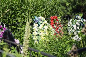 One Dead in Three-Vehicle Crash on Route 202