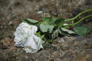 Two Boys Killed in Boating Accident on the Barnegat Bay